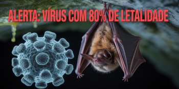 Doença do Cérebro Inflamado: O Novo Pesadelo da Saúde Pública