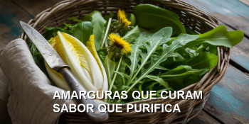 O poder terapêutico do amargo que equilibra e cura
